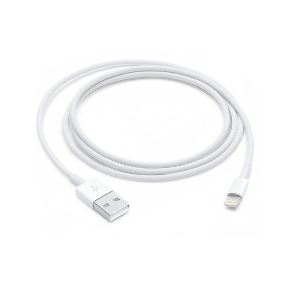 Lightning to USB Cable (1m, OEM)