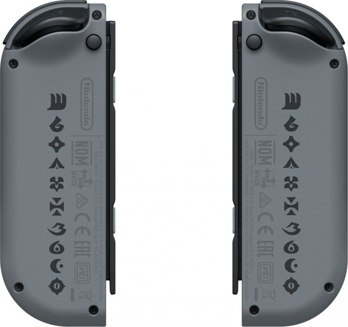 Switch v2 (Monster Hunter Rise)