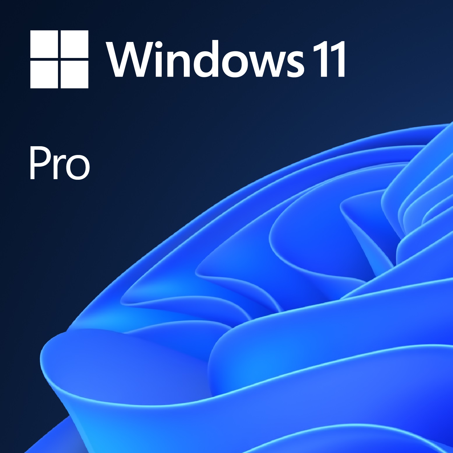 Windows 11 Pro 